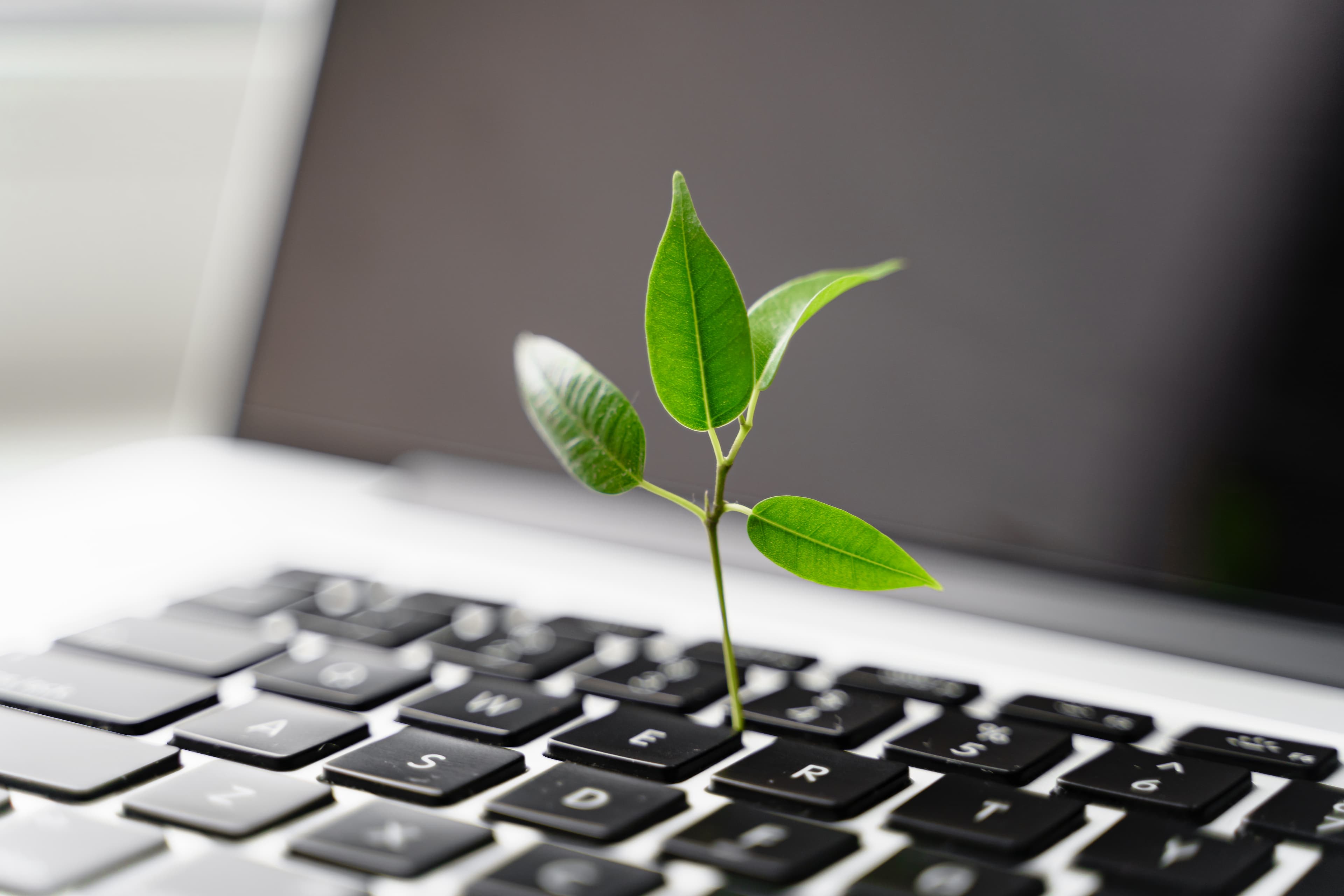Little plant growing from a laptop to show how sustainability arises from the right technologies