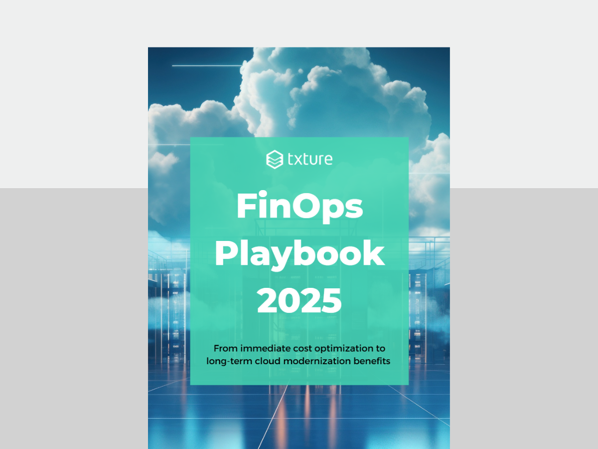 preview of txture finops playbook